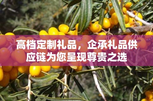 高档定制礼品，企承礼品供应链为您呈现尊贵之选